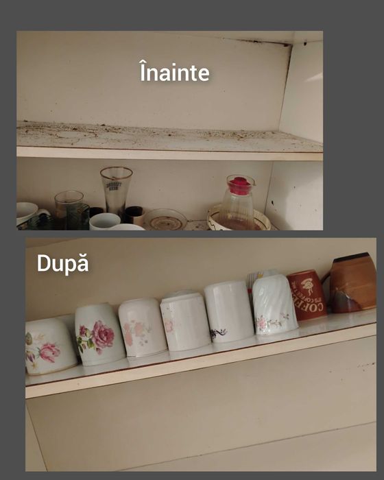 Ofer servicii curățenie în Brăila