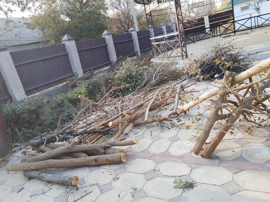 Отын   сатады коп