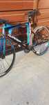 De Vânzare: Bicicletă Merida Warp TRI 3000 – Carbon, Performanță, Vite