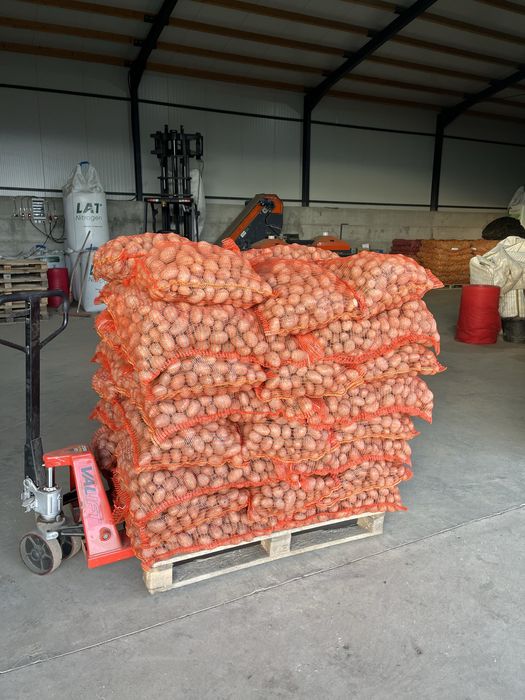 Cartofi samanta clasa B