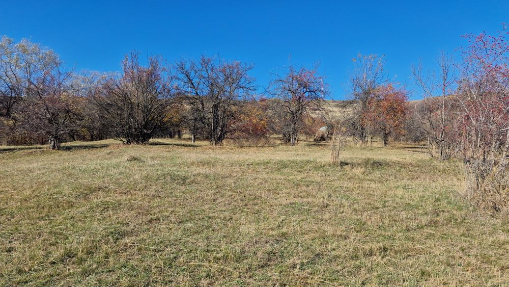 Vând teren intravilan 8000 m²