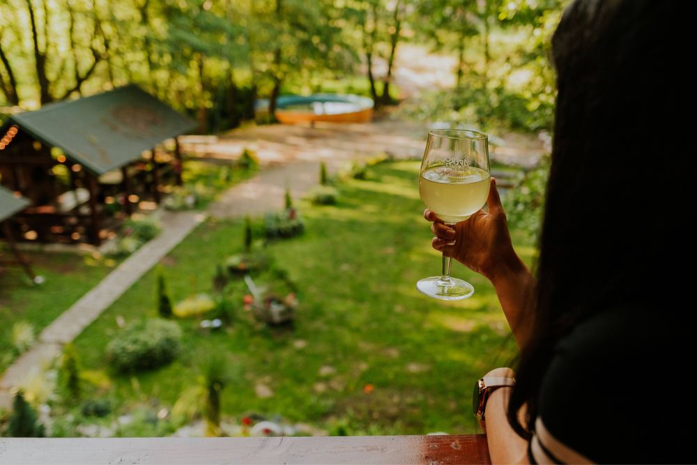 Cabana Huta Sinteu (revelion ocupat)