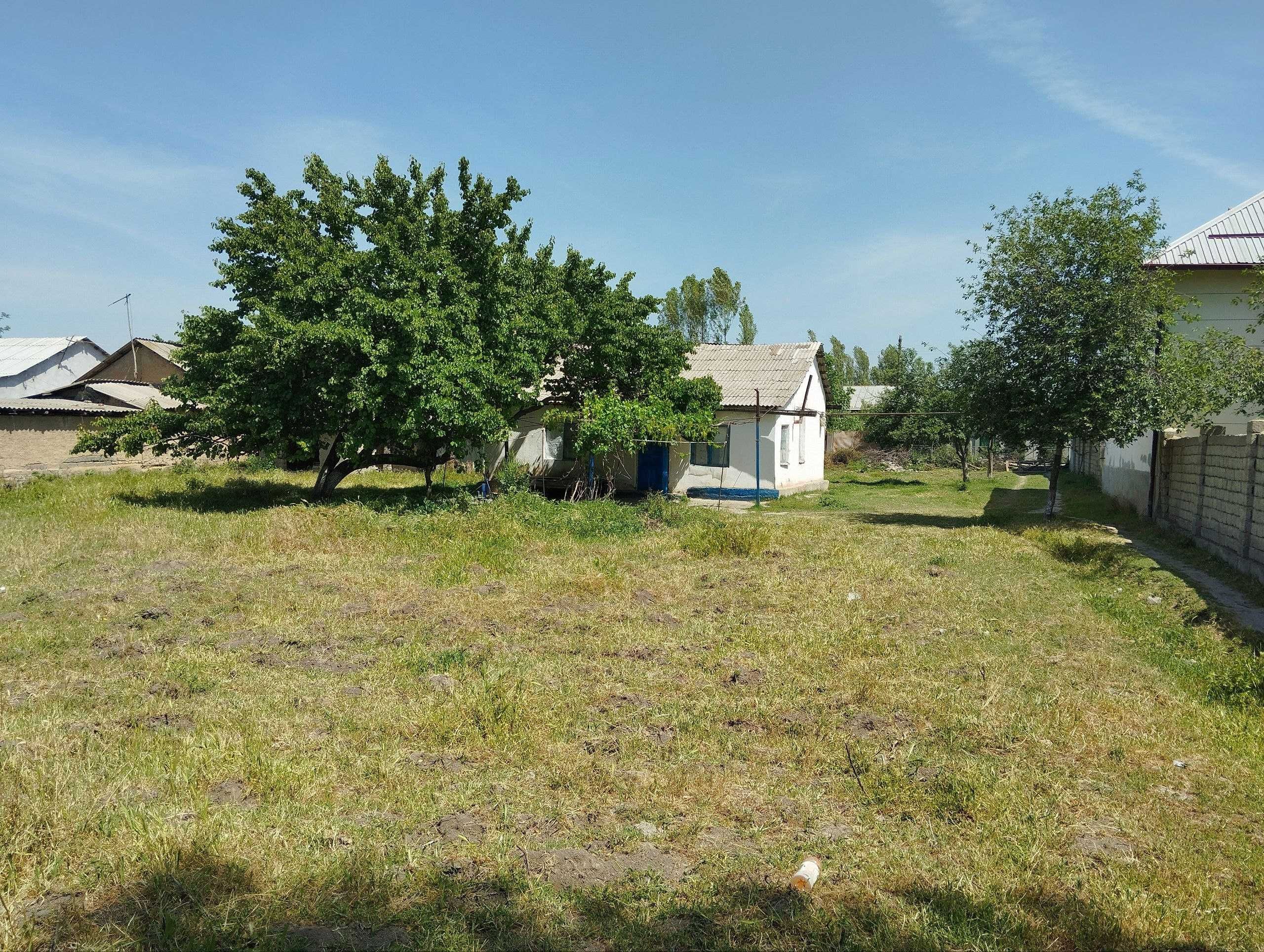 Авангард двадцать летда ер сотилади. Avangard. Food City