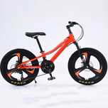 Bicicleta Caraiman 20 inch cu 18 viteze .Jante aliaj