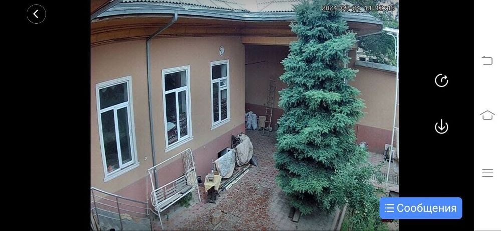 Арча сотилади.20 ёш.Келишилган нархда