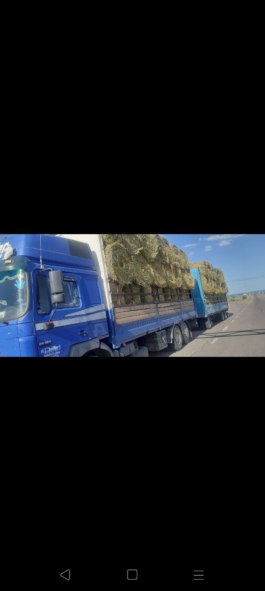 Сено люцерна жоношка урлон свежый укос жоношка урлон сатамын жоношка у