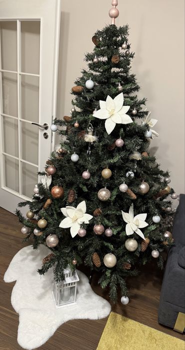 Елха с шишарки 2 м.