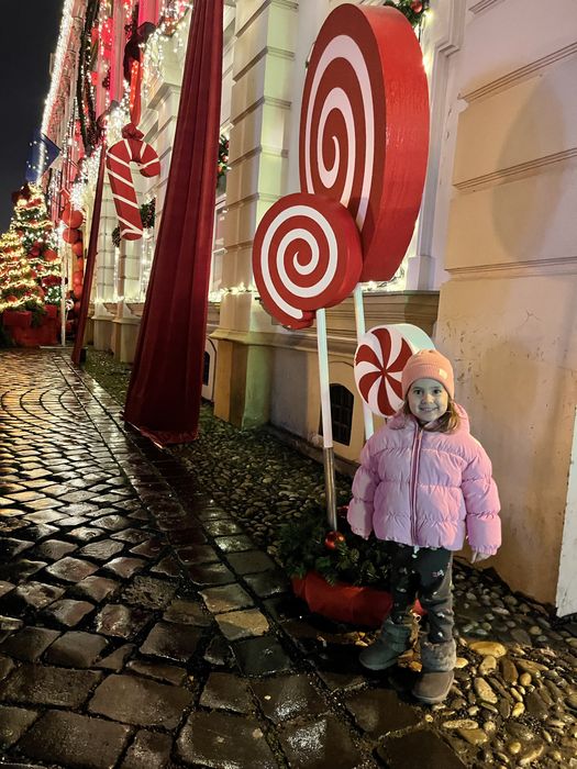 Casuta barbie din plastic