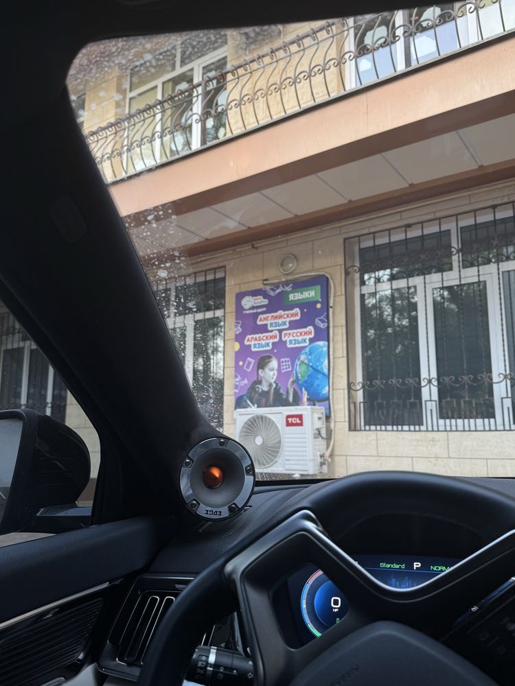 Стойки под акустику, с рупорами EDGE для BYD