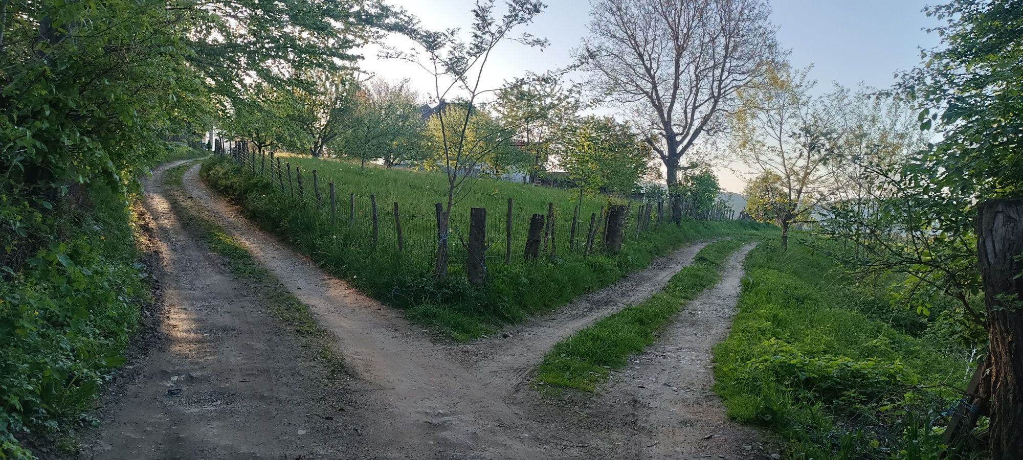 Teren intravilan-Tohanita / Zărnești ( langa Bran / Predelut )