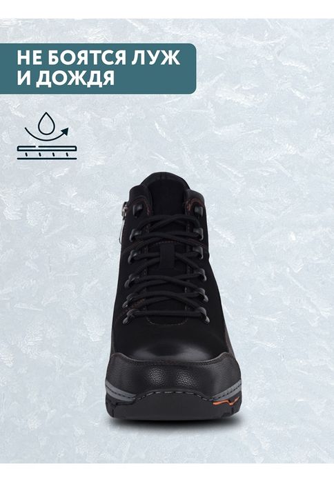 Мужские ботинки Taccardi