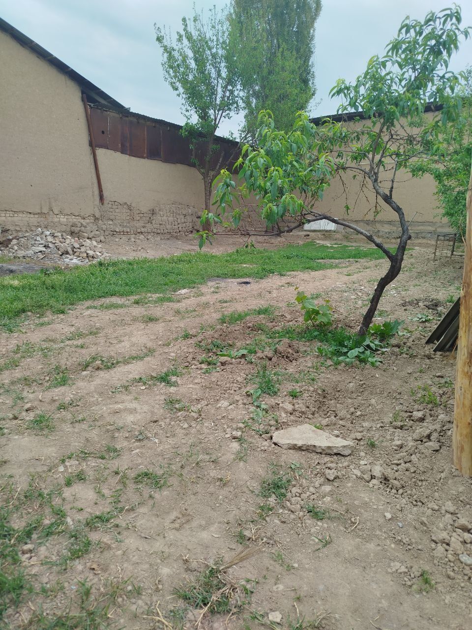 Xovli sotiladiii