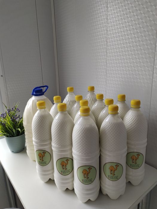 Шубат, кымыз бар. Аралдың таза, қою шұбаты. Шилісайдың қымызы.