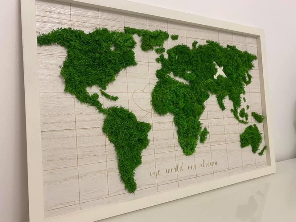 Harta lumii / Glob pamantesc cu licheni