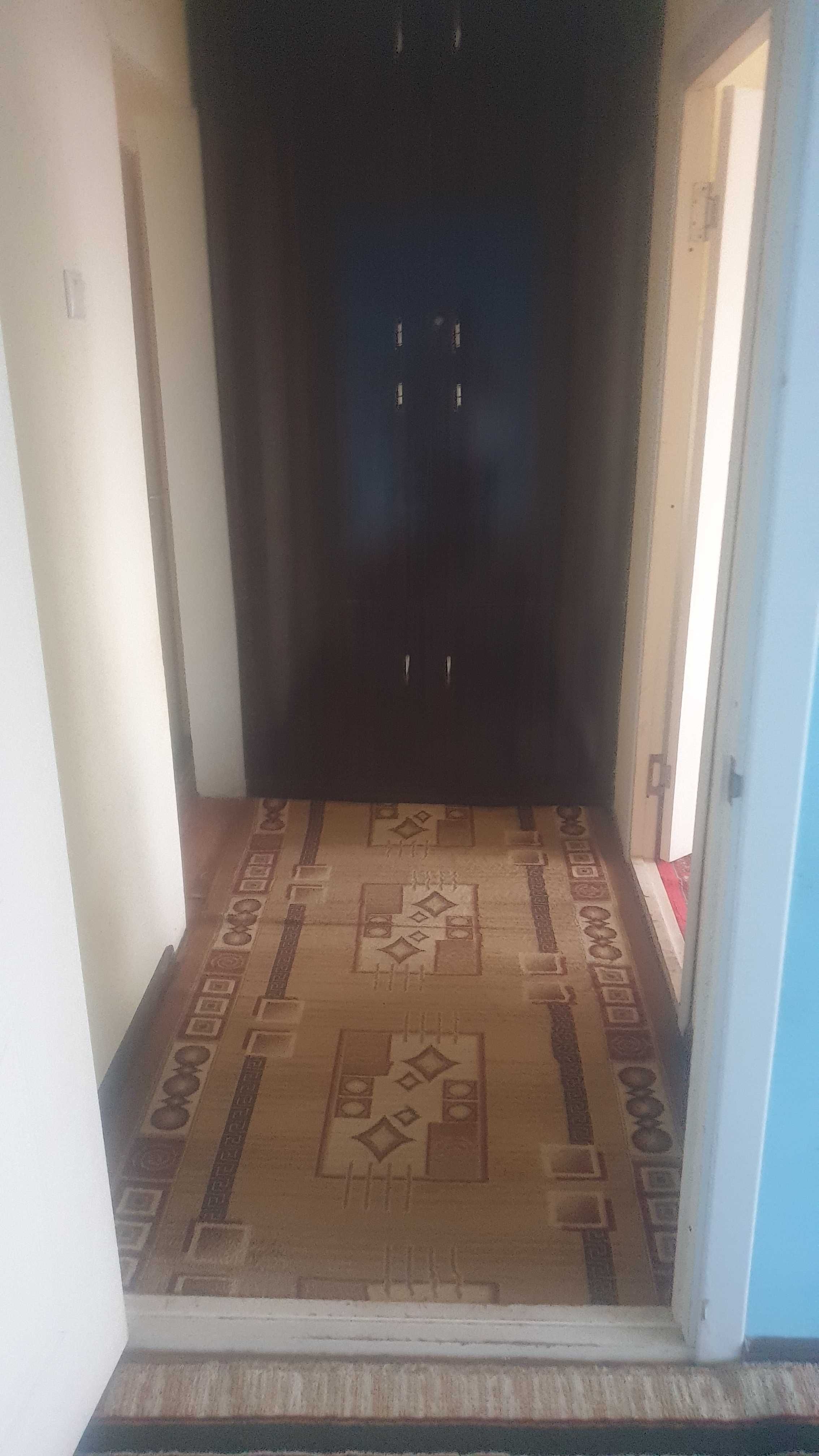 Юнусобод 19 да квартира ижарага берилади. Нархи келишинилади.