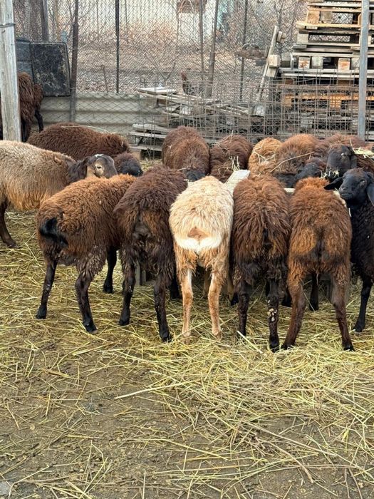 Срочно продается