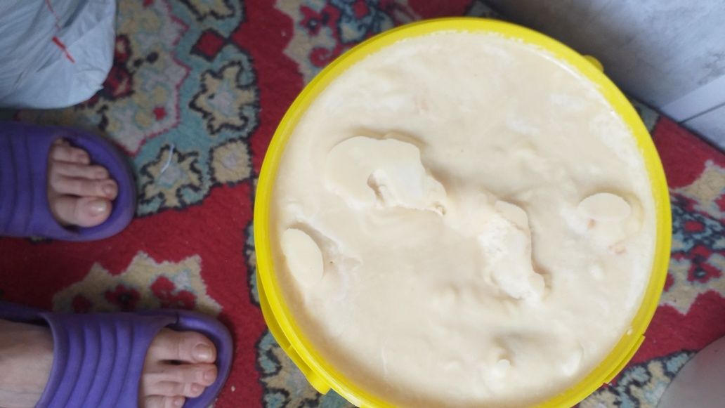 Продам жир конский
