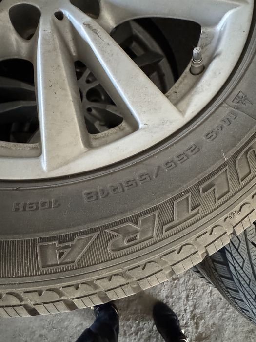 Jante iarna F15 model 2025 F15