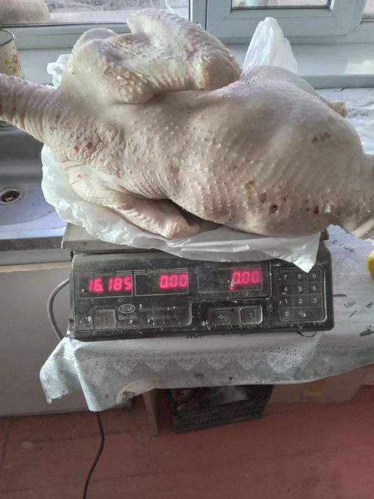 Идюшие мясо местные по 3500