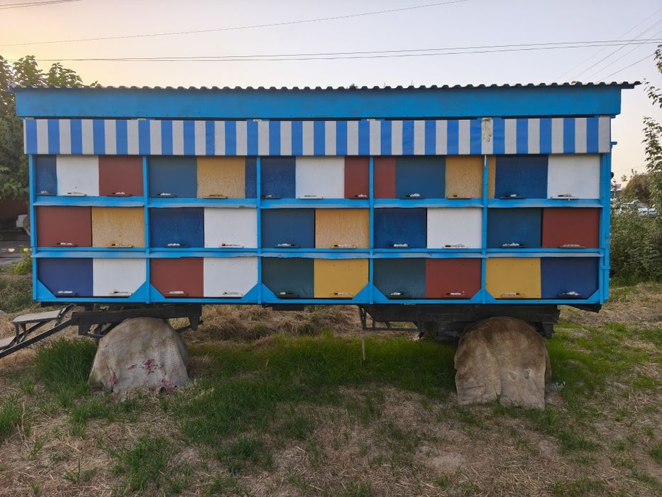 Asalari vagon sotiladi