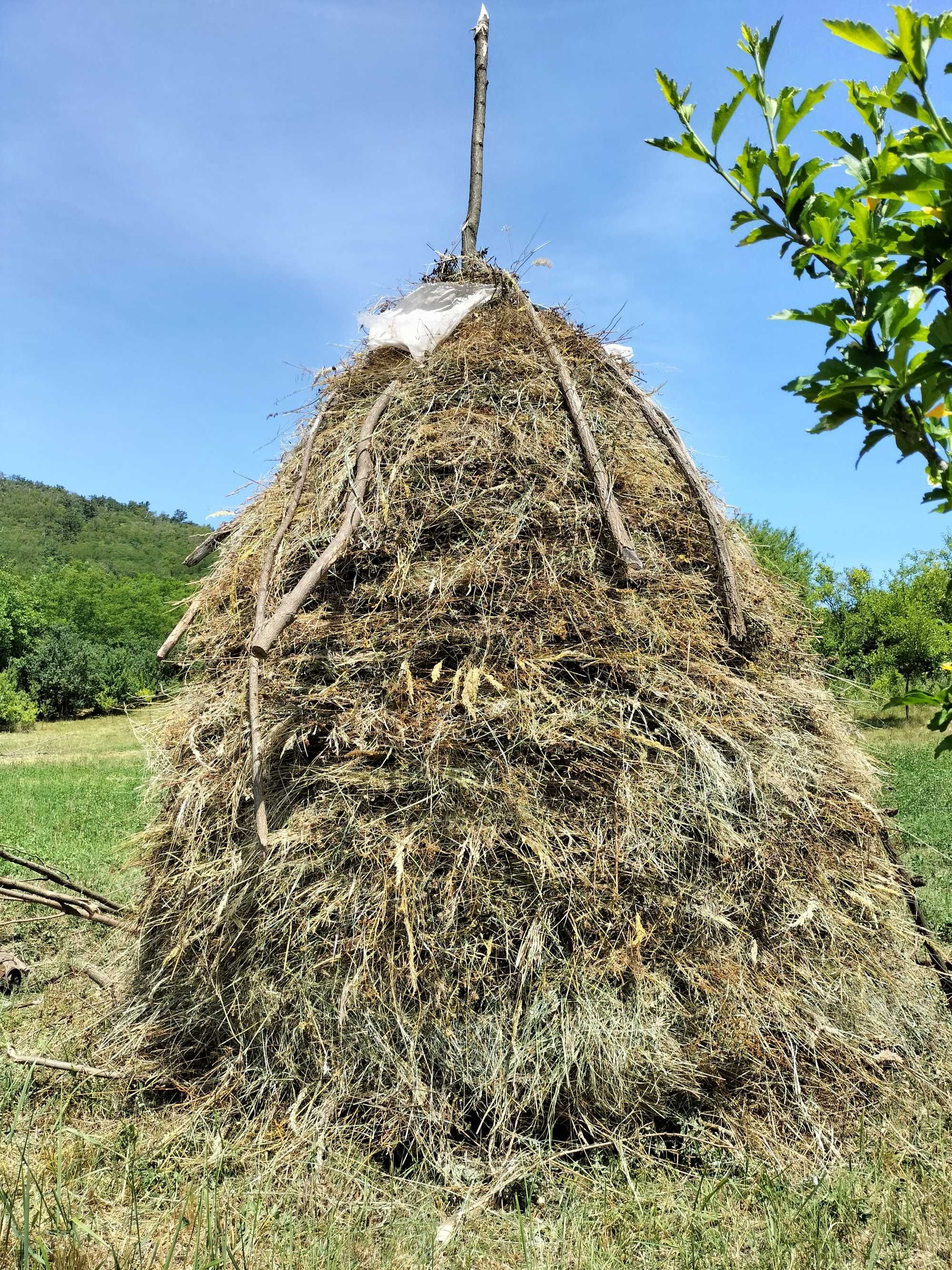 Vând 6 clăi de fân