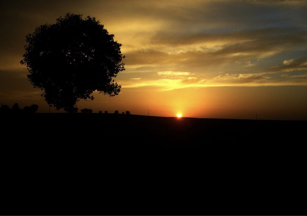 Panasonic LUMIX DMC-FX8 5.0MP Digital Camera