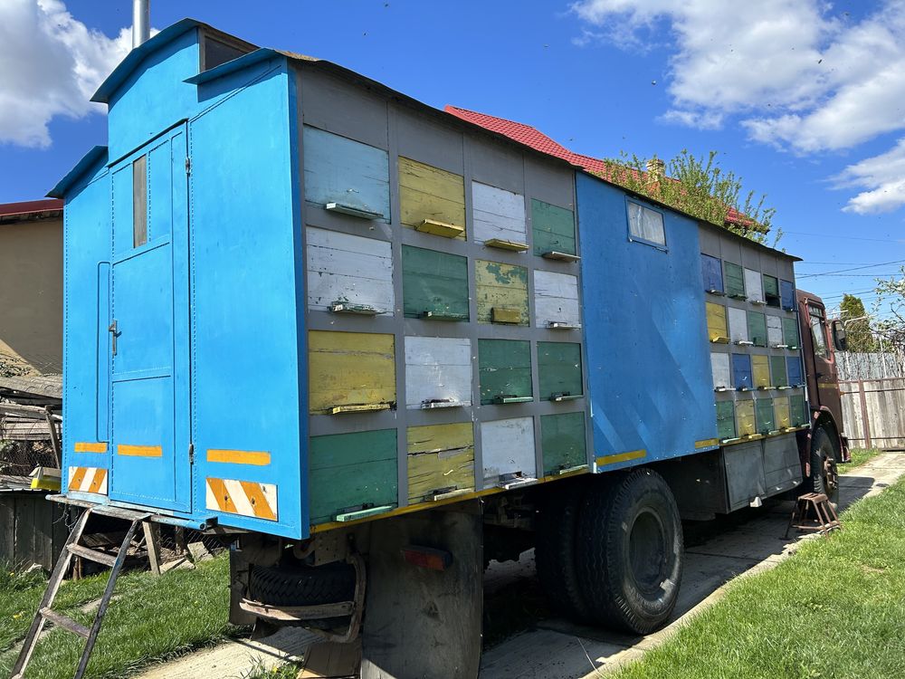 Camion apicol 72 cutii + 50 familii albine