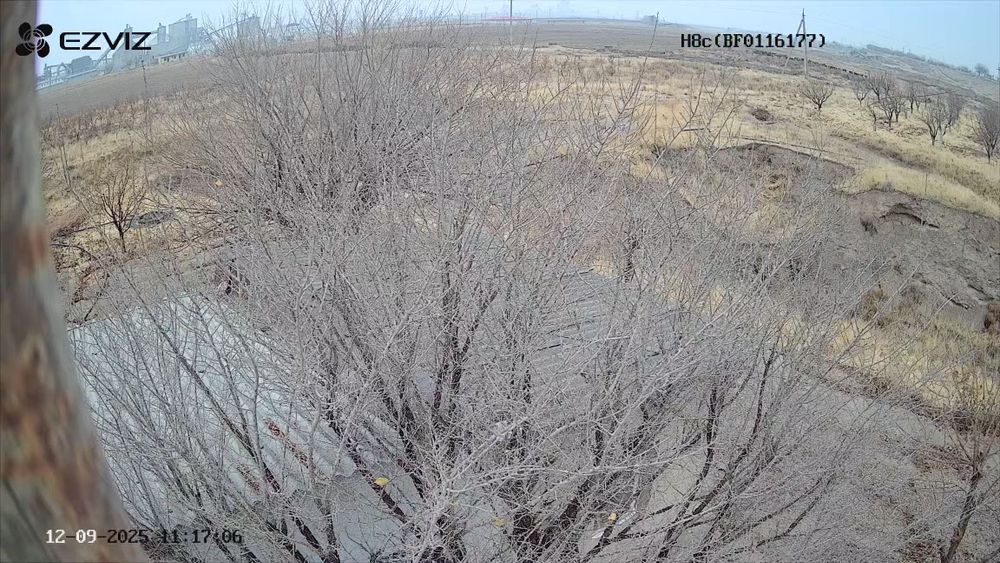 Бог 2гектар Гилос майский