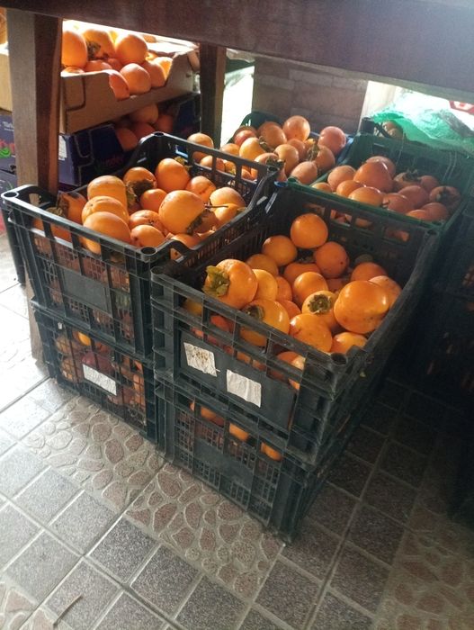 Райска ябълка екологично чиста без никакви пръскания