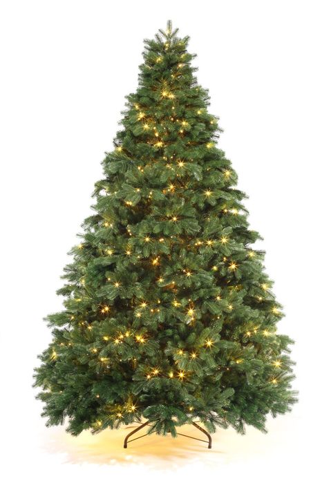 Елка новогодняя королева леса