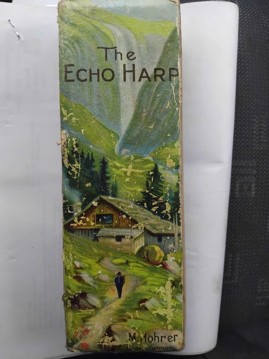 Muzicuta Hohner originala