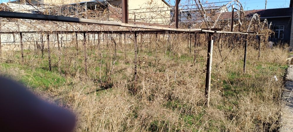 Toshkent viloyati, Qibray tumanida yer sotiladi