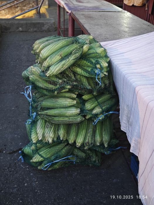 Porumb zaharat verde