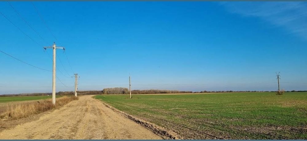 Teren 500mp Crevedia Cocani loturi intravilan construibil P+2+M