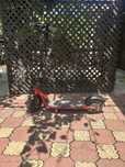 Trotineta Ninebot d18e