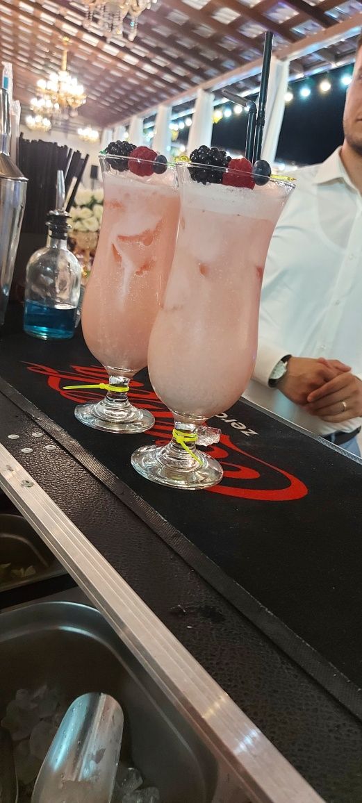 The Cocktail Bar / Bar mobil / Tort de shot-uri /Barman evenimente /Nu