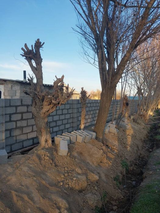 Шлакаблок терамиз, хомом ,туалет,  времинка, забор терамиз