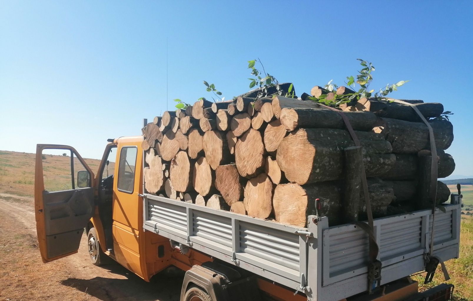 lemne de foc esență tare transport la domiciliu clientului
