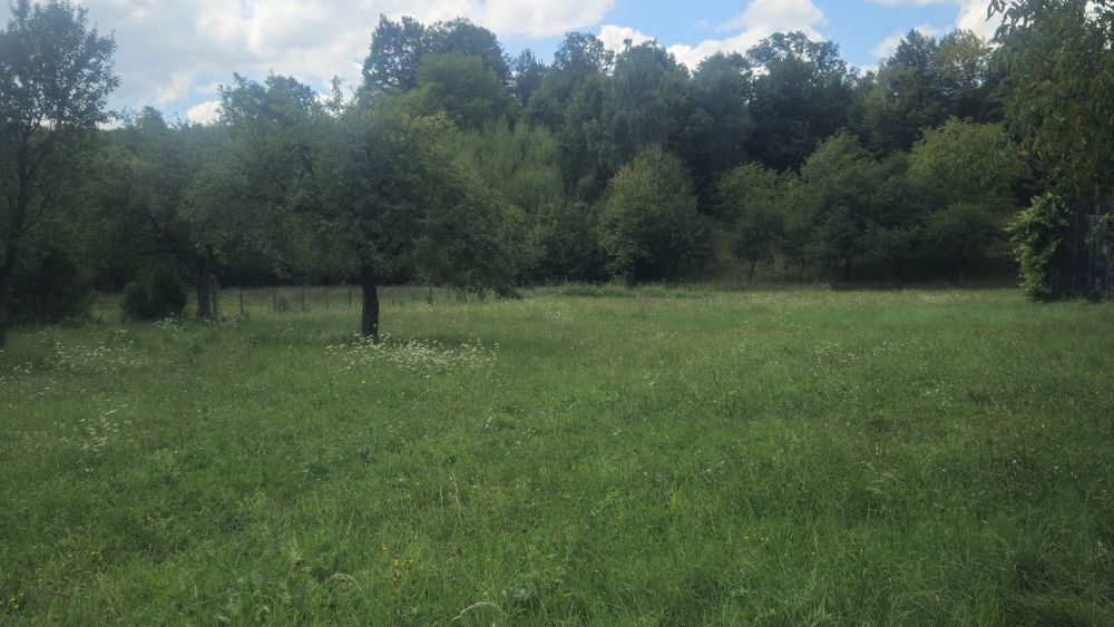 Teren de vanzare intravilan Bistra Muresului 4432mp