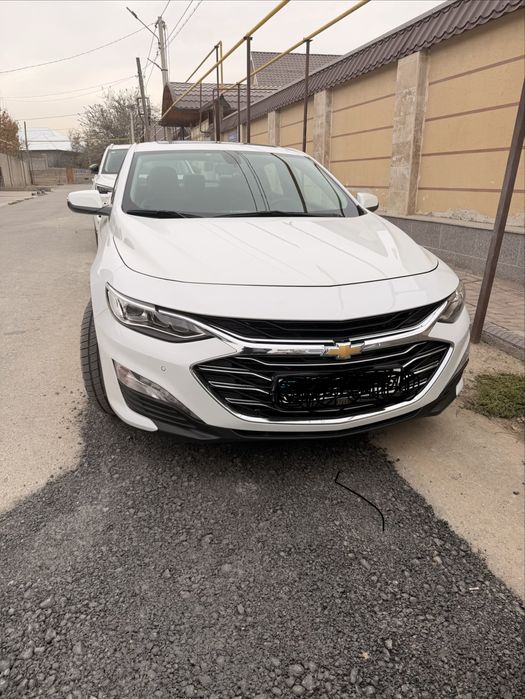 Malibu 2 PRIMER 100% - 2022