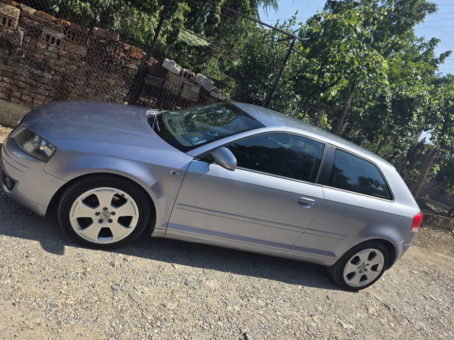 Audi A3 8p 2.0 TDI