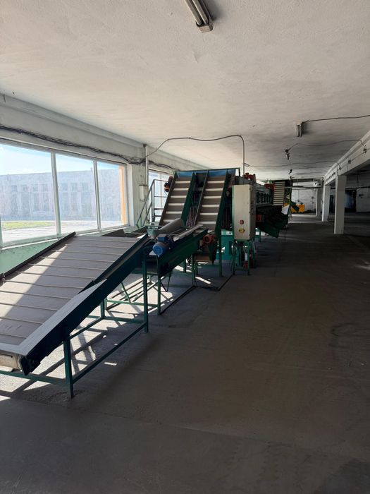 Statie de sortare castraveti cornison