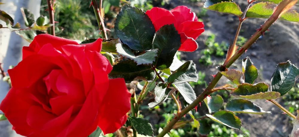 Продается хороший дом!