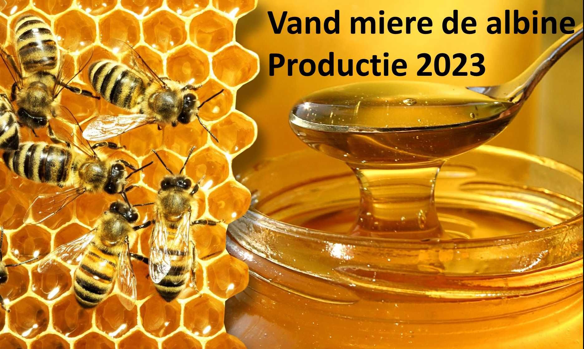 Vand miere de albine productie ECO 2023, 30RON=1kg