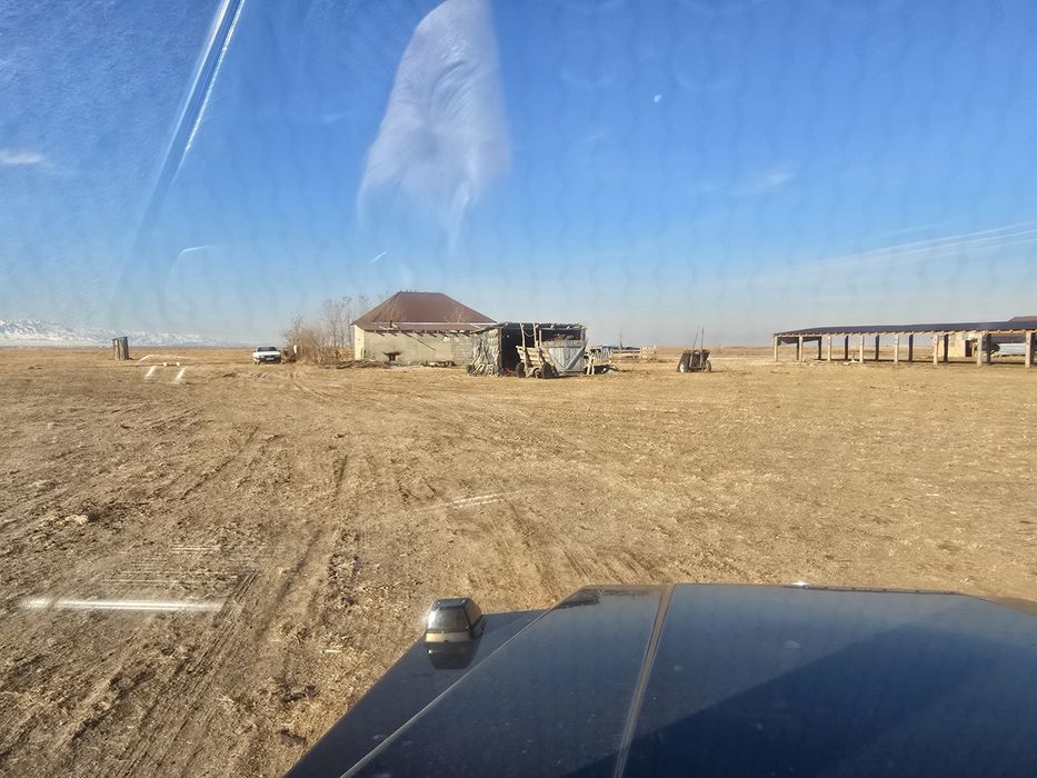 Фазенда мал шаруашылығына