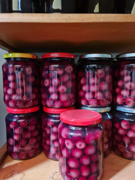 Vand gem/dulceata visine, gutui