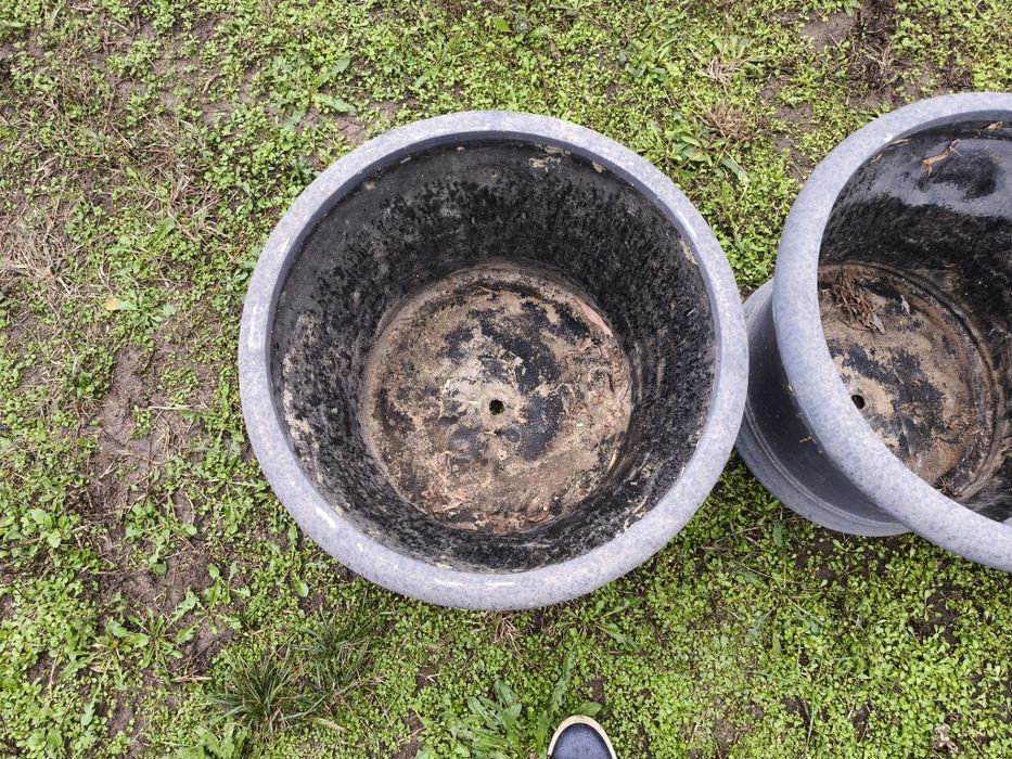 Ghivece flori din fibra de sticla