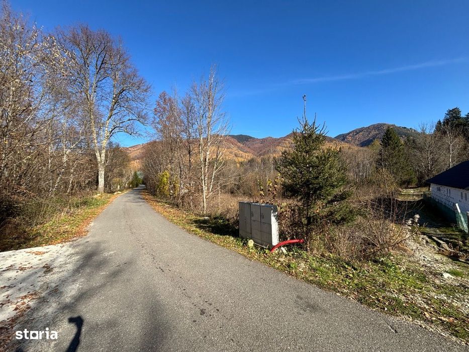 Teren de vânzare 3600 mp Poiana Mărului Caraș-Severin ( cu potențial )