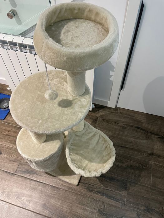 Котешка катерушка