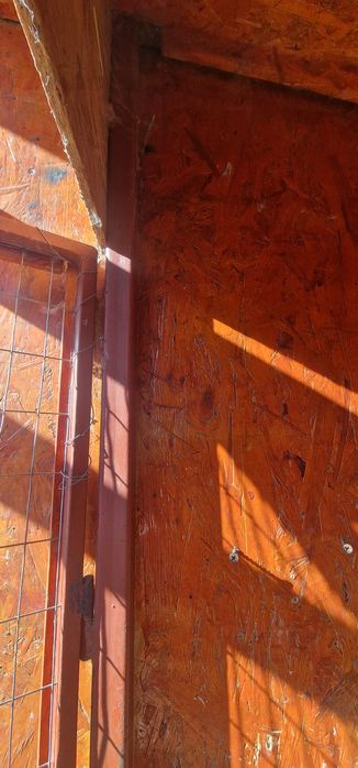 Iepuri 12 boxe pentru diverse rase